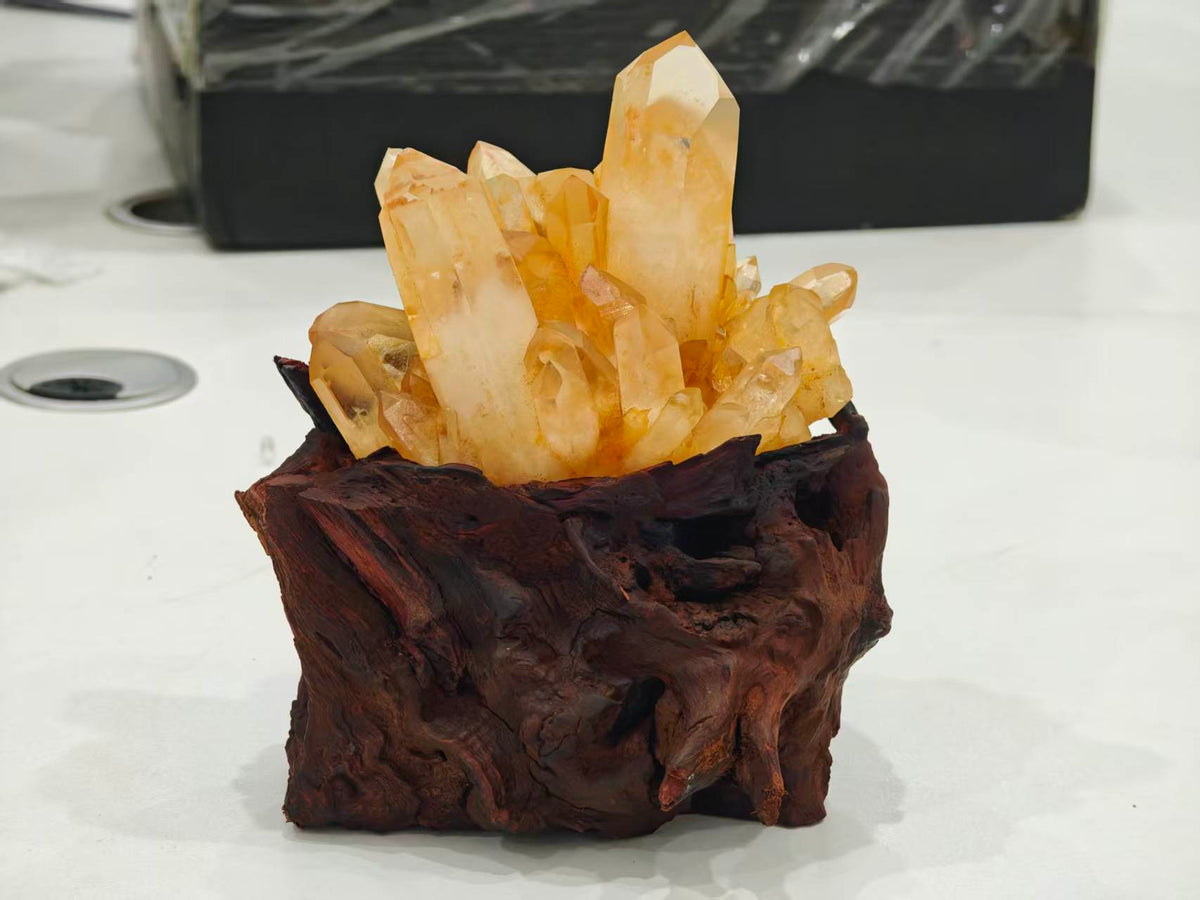 Raw Golden Citrine Quartz Cluster in Carved Root Base