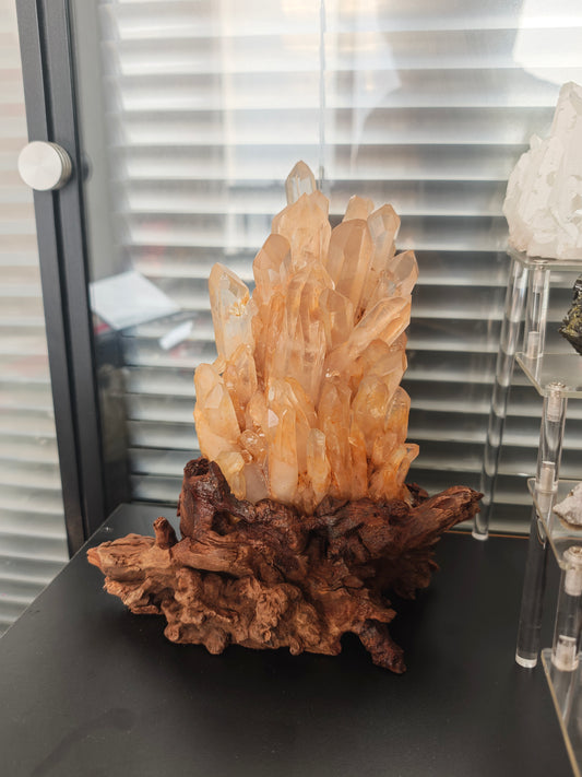 Raw Golden Quartz Crystal Cluster on Natural Wood Base
