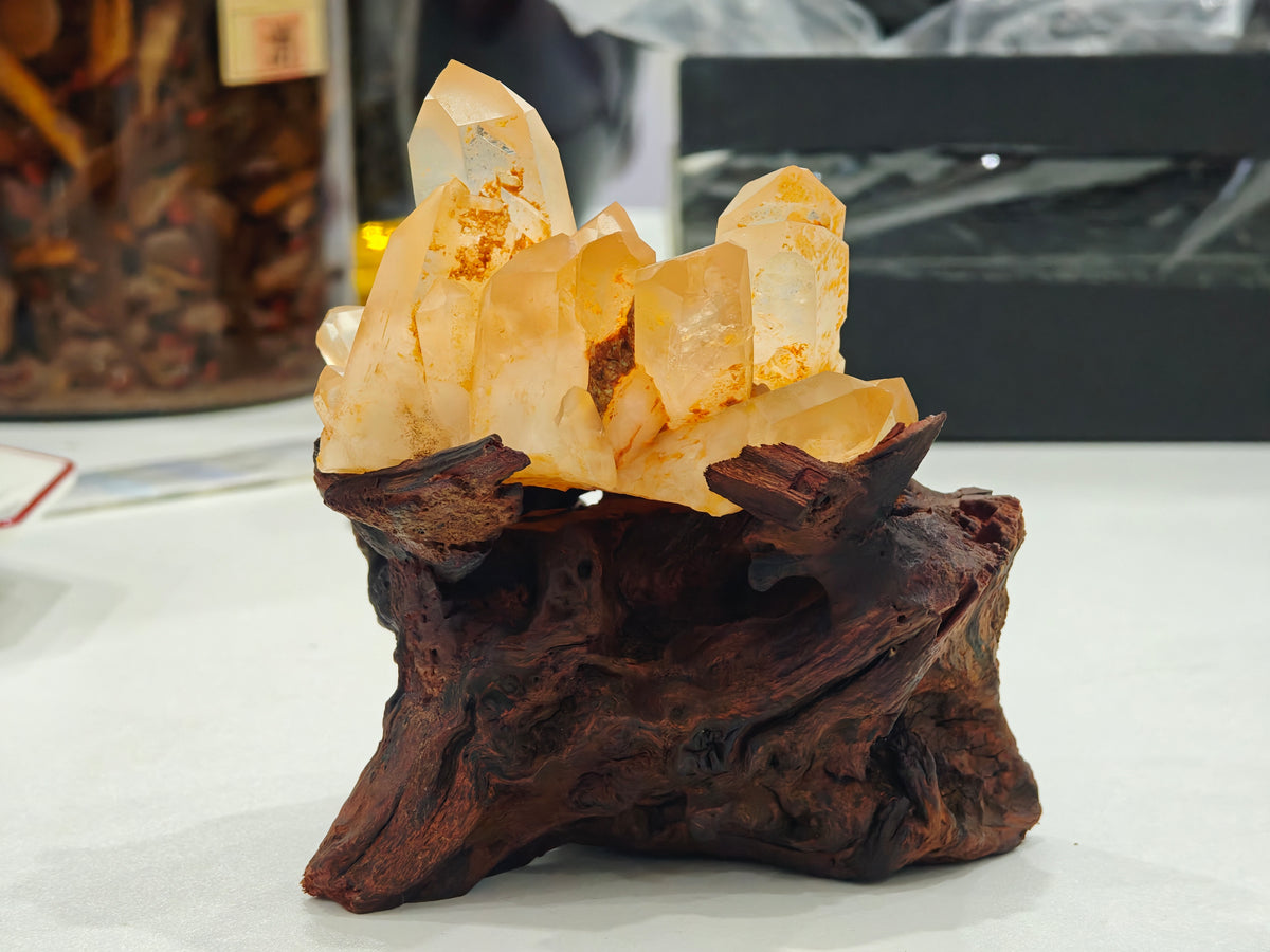 Raw Golden Citrine Quartz Cluster in Carved Root Base