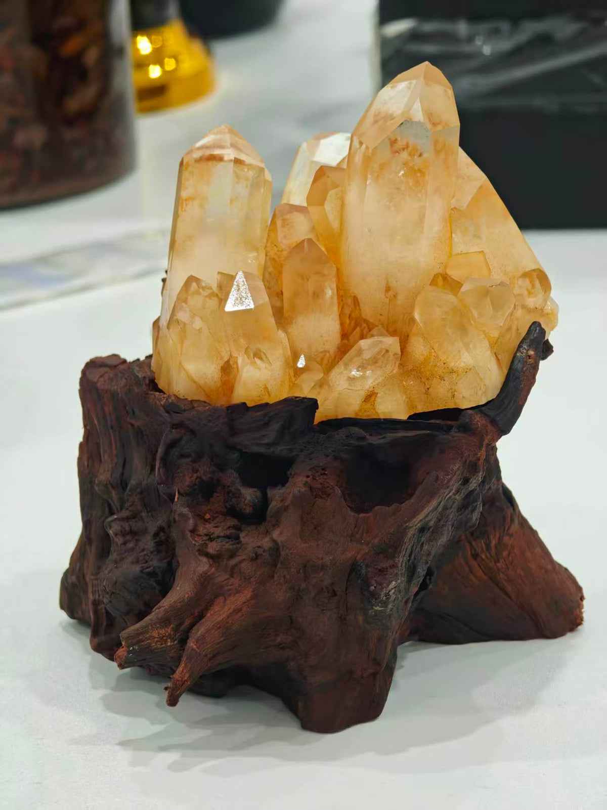Raw Golden Citrine Quartz Cluster in Carved Root Base